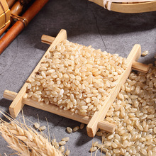 发芽玄米 发芽玄米品牌 图片 价格 发芽玄米批发 阿里巴巴