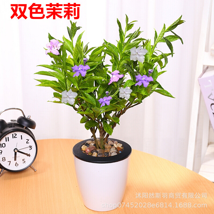 QQ图片20200802183523