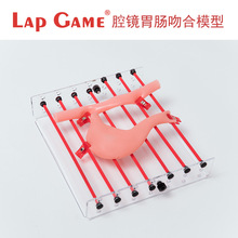 Lap Game腹腔镜手术模拟训练器械 训练箱/胃肠吻合模型