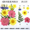 PRESSED FLOWER material bag dry flower pressure flower field combination of flower material bag and leaves paste painting