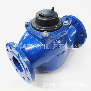 WS��ֱ����ʽˮ�� �齭��ˮ�� WS-50 WS-80 WS-100 WS-150 WS-200