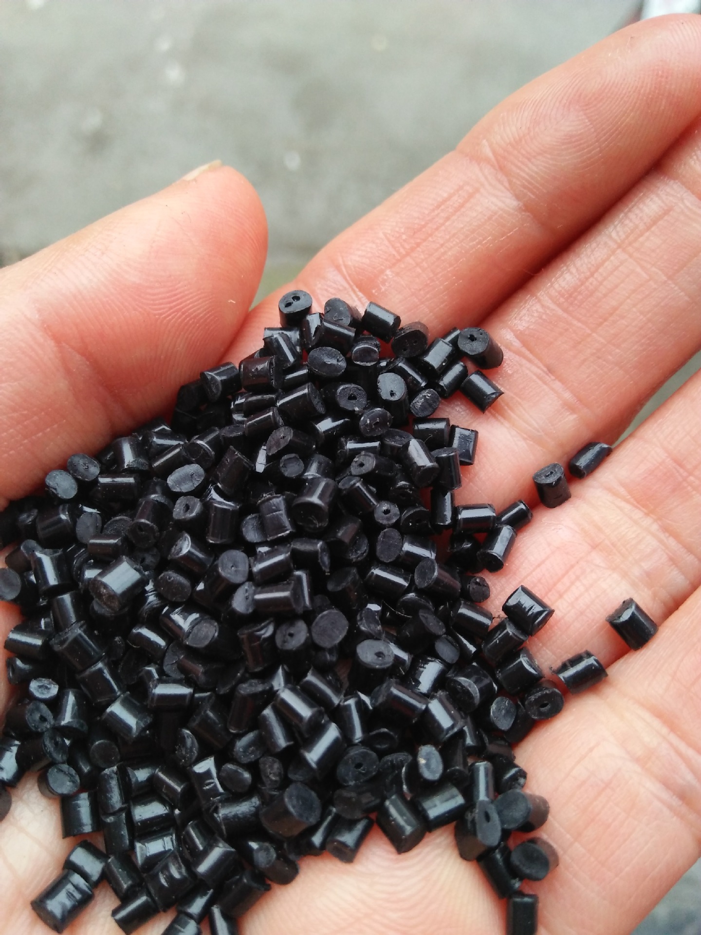 3986392366_1812135459