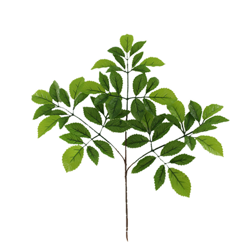 XRB-109 榆树叶三叉枝 1.jpg