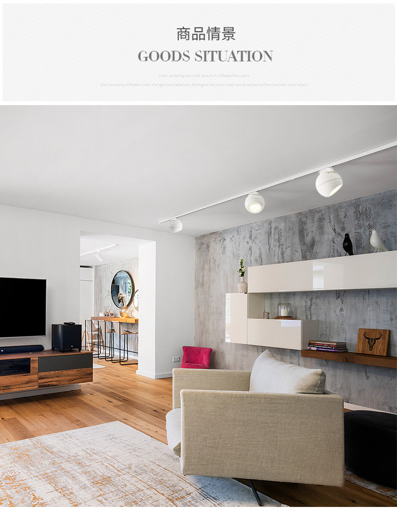 苹果球形明装轨道射灯203