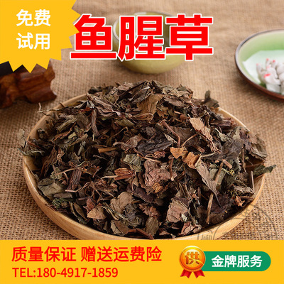 干鱼腥草干新鲜鱼腥草带根晒干臭草折耳凉茶500克包邮|ms