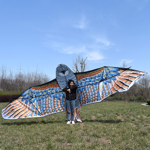 Eagle Kite Large Extra Large Breeze Easy-Fly Kite Weifang Adult Eagle Kite with Wheel