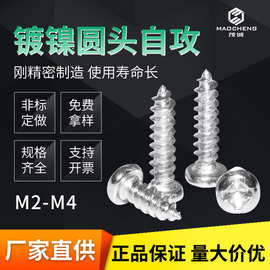 M2/M3/M4/PA镀镍圆头螺丝十字 自攻螺丝 盘头自攻丝微型小螺丝钉