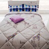 Babe Jia Yu velvet quilt The quilt core 1.8 quilt with cotton wadding thickening keep warm Safeguard hotel dormitory Bedding