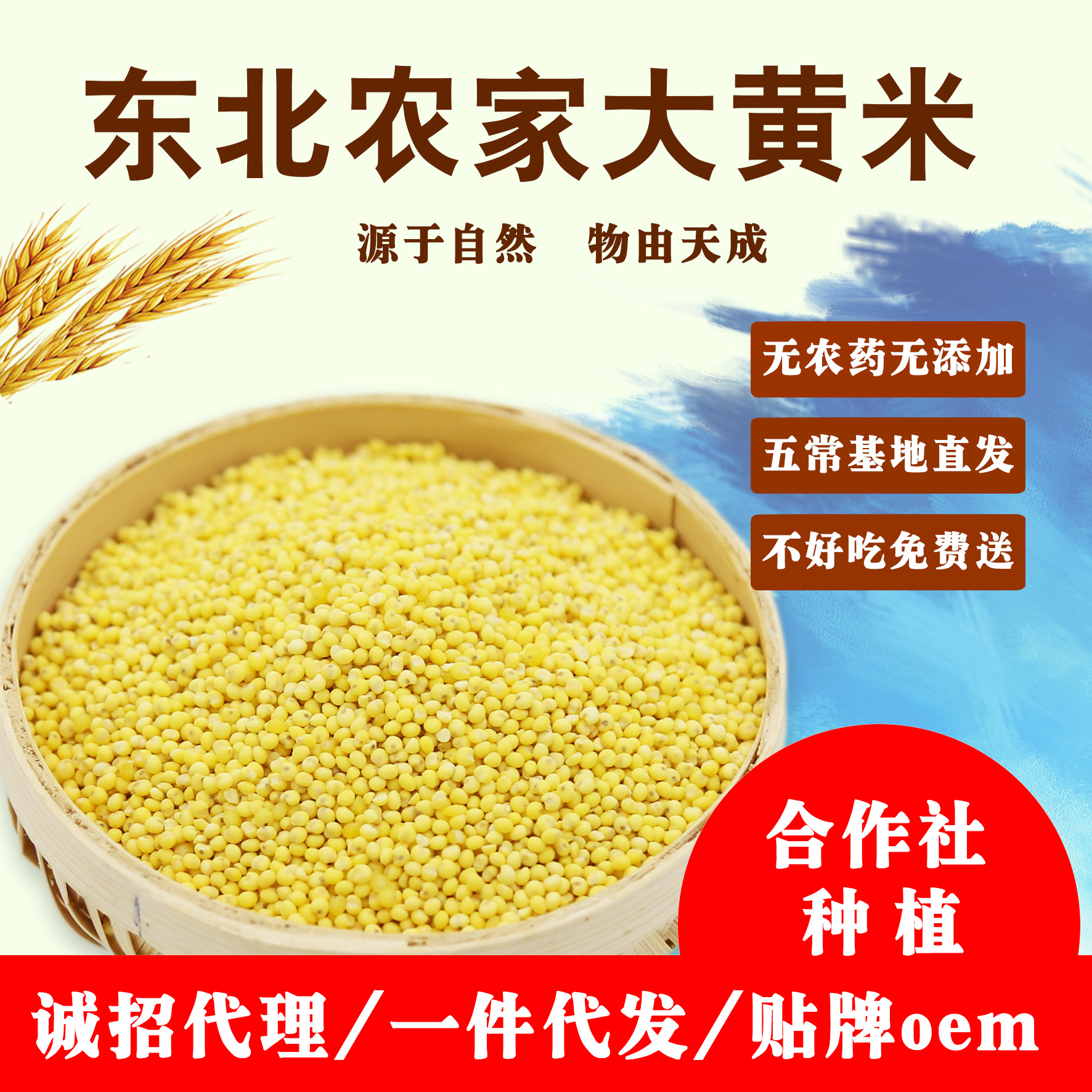2020年东北大黄米黏黄糯米农家自 端午黏粽子糜子黍米黄江米500g