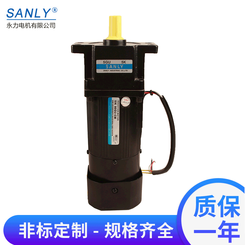 SANLY永力5IK60RGN-CM电磁刹车减速马达60W交流微型调速减速电机