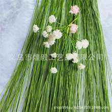 ���l�����F�z���U60CM�ֹ����h���ϾW�z����ܛ�F�z���滨�U