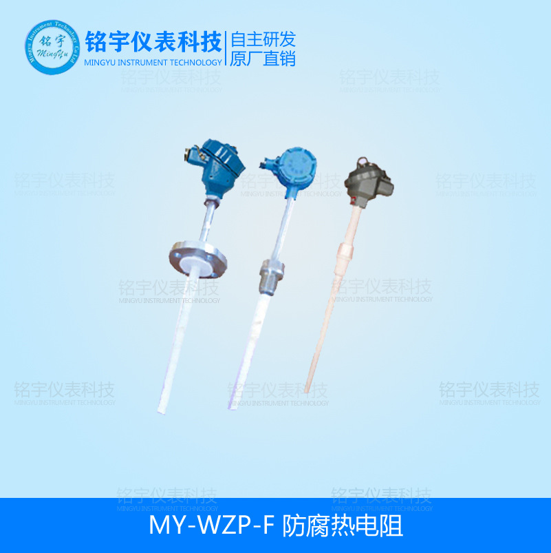 MY-WZP-F防腐熱電阻