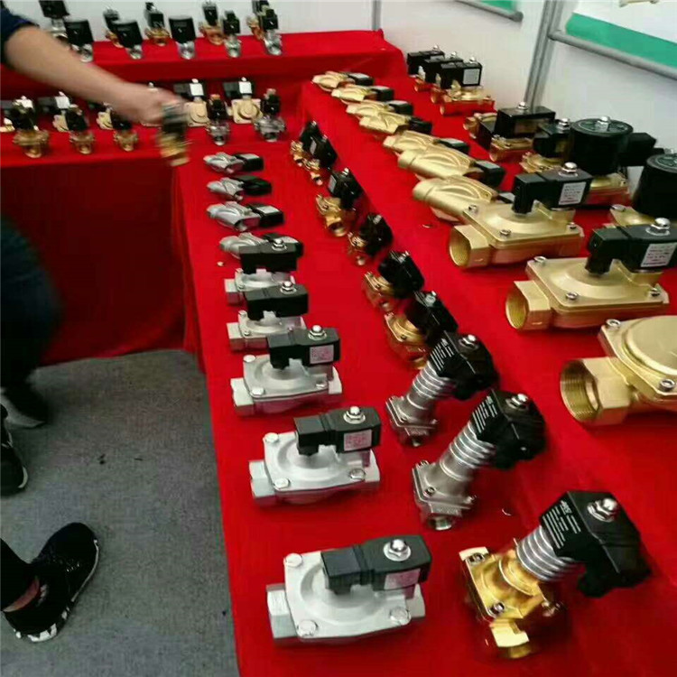 ZSCF-15消防电磁阀2S中央空调2A潜水ZS防水YSD040-02特鲁姆 欧蒙