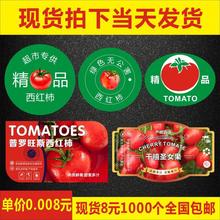 �S��ֱ�N�o�����������_��˹���t�������z�˺����о�Ʒǧ���}Ů��