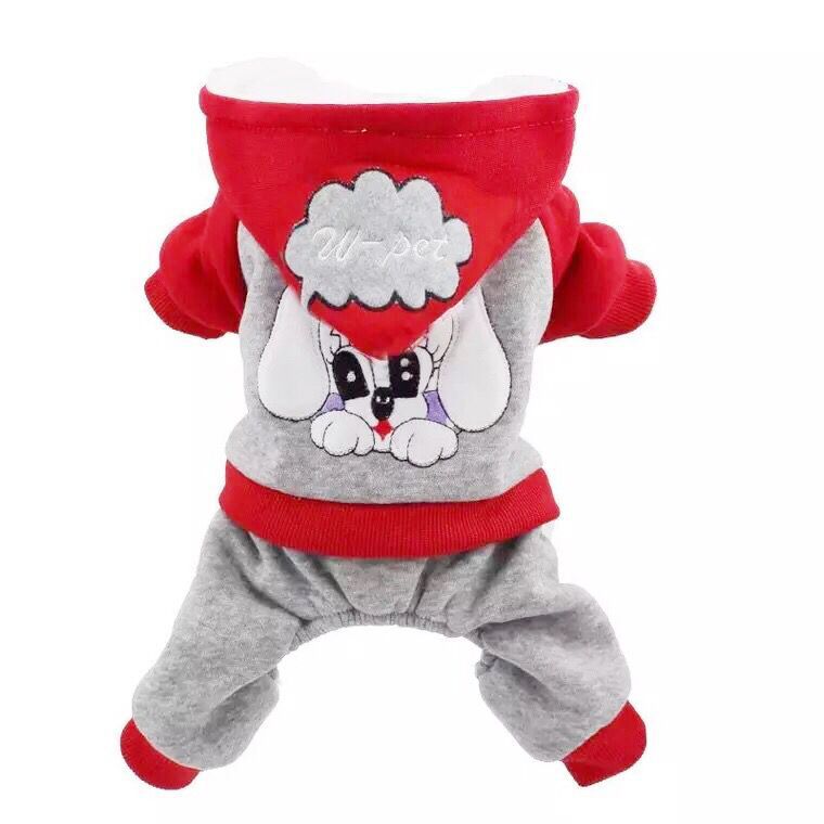 QQ图片20201009104301