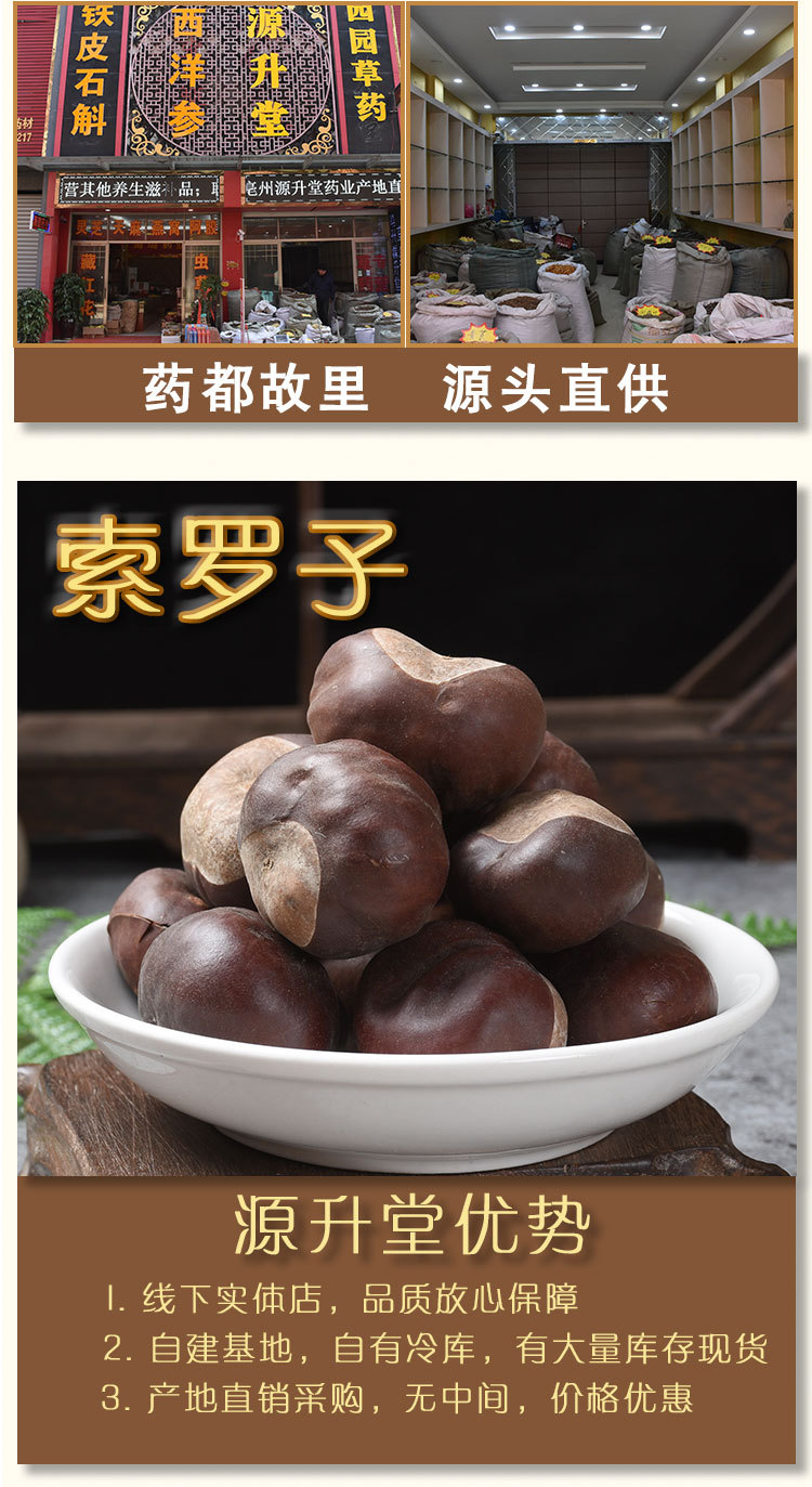 Suo Luo Zi (Aesculus chinensis) — Dried Chinese Buckeye Seed, Raw Herb 500g overview