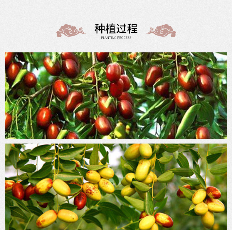 Dried Red Date Slices Zao Gan Herbal Tea Sweet Jujube Chips 500g preparation
