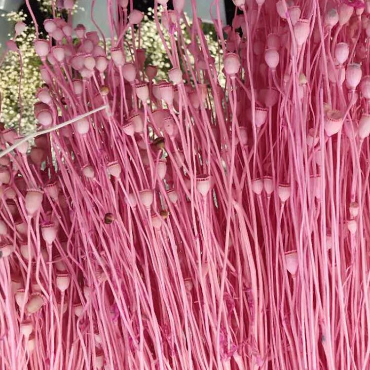 微信图片_20200102163412_副本