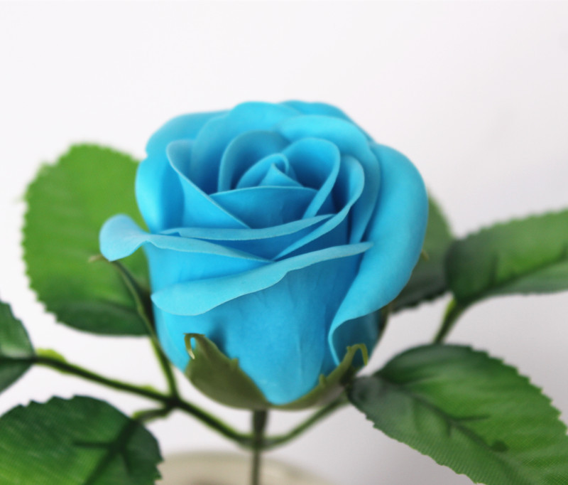 一键复制_20200227134217