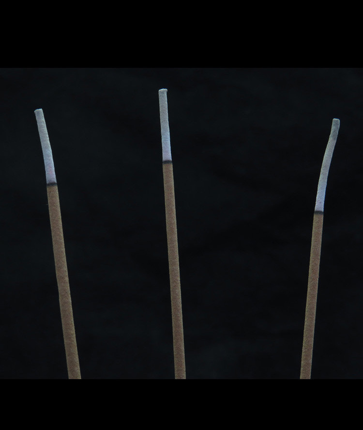 11209421146_1550791607