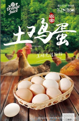 土鸡蛋黎母山下自然草地林地散养虫草山水生态养殖健康营养包邮