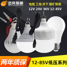 LED低压球泡灯12V 24V36V 48V 60V球泡低压高护帅塑包铝电瓶车灯