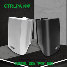 CTRLPA 室内会议音箱 壁挂音箱 CL912W/B