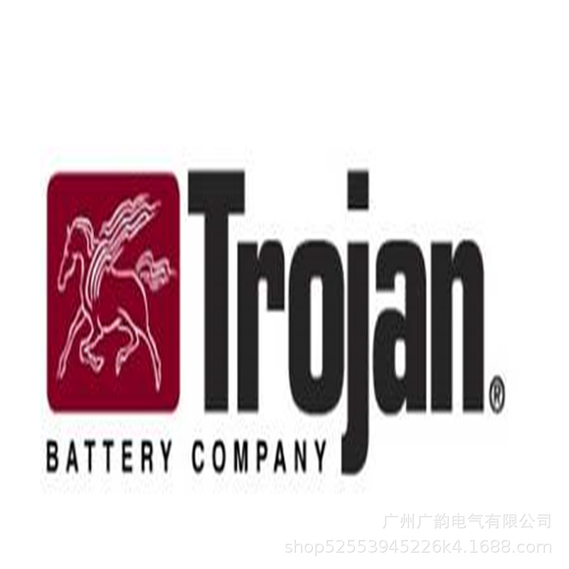 Trjoan邱健蓄电池6V240AH 邱健T-125 曲臂车 升降机观光车电池