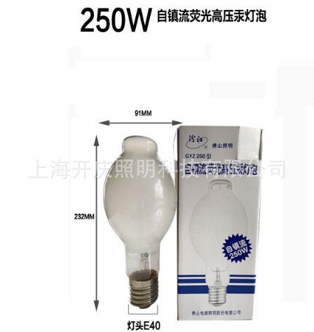 FSL佛山照明/ GYZ自镇流荧光高压汞灯泡 E40水银自汞灯泡/ 250W