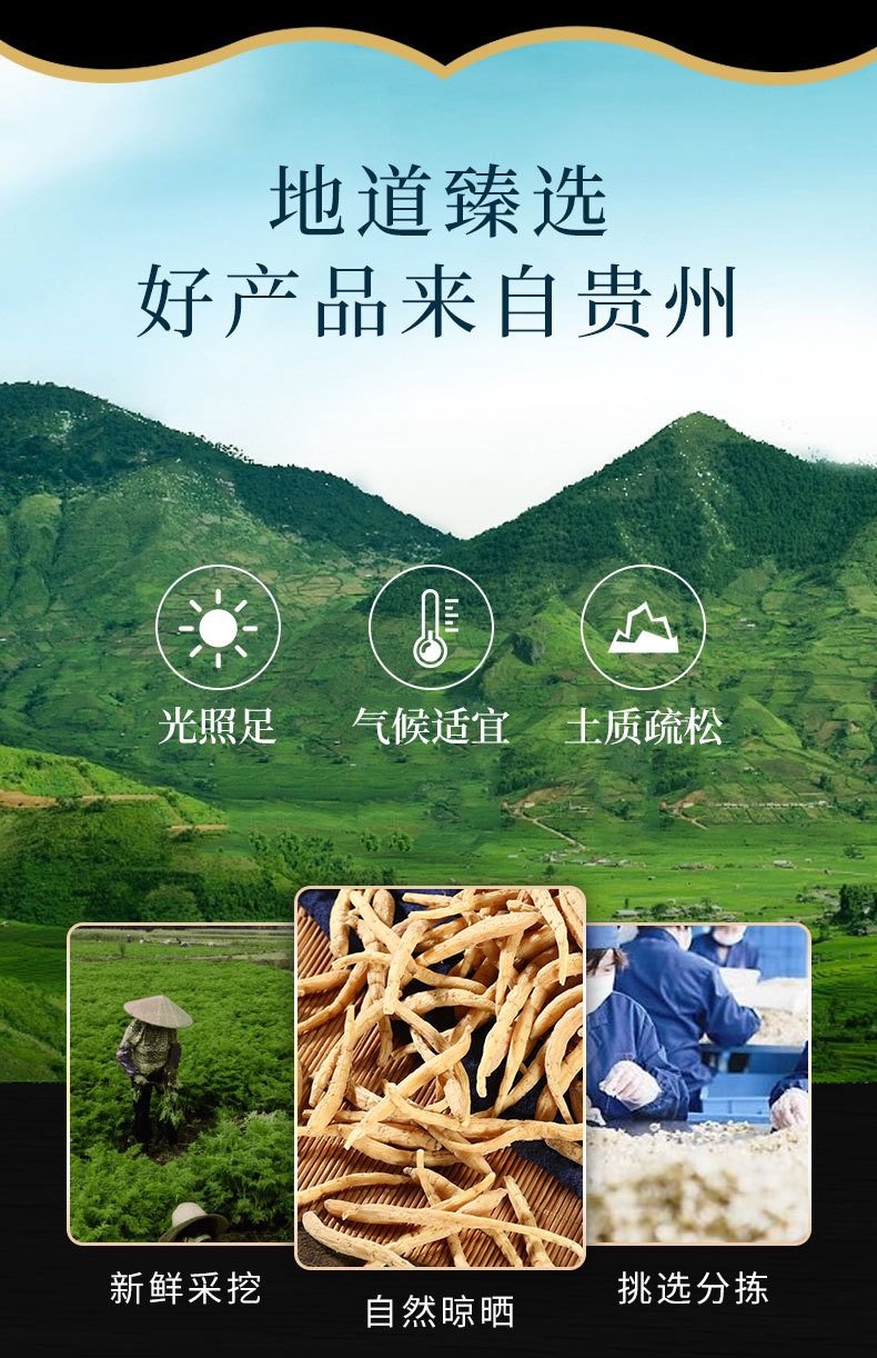Tai Zi Shen (Pseudostellaria heterophylla) — Dried Food Herb for Soup & Tea, 500g overview