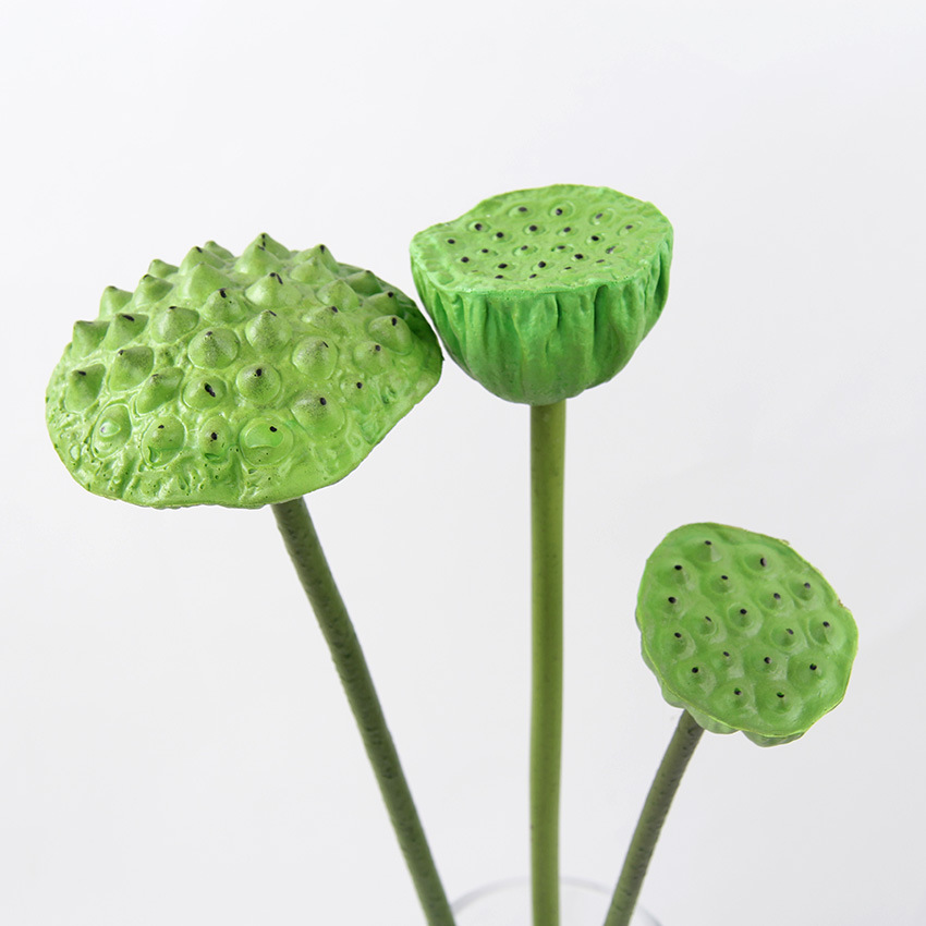 单支莲蓬小 4.jpg