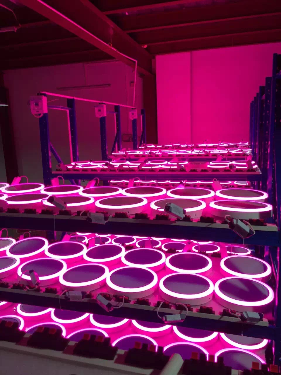 e267ae61803b44700f588c3718f53f