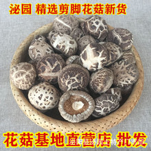 花菇干货3-5干香菇批发产地直销货量大蘑菇冬菇特产一件代发500克