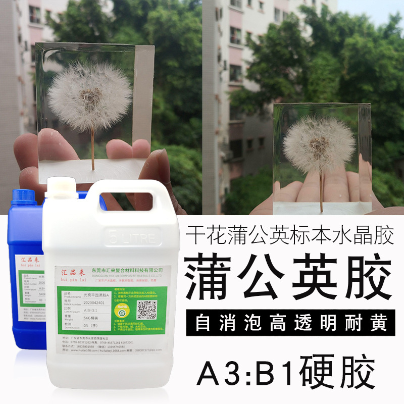 厂家供应蒲公英干花水晶胶 树脂AB胶 干花标本蒲公英镇纸水晶球