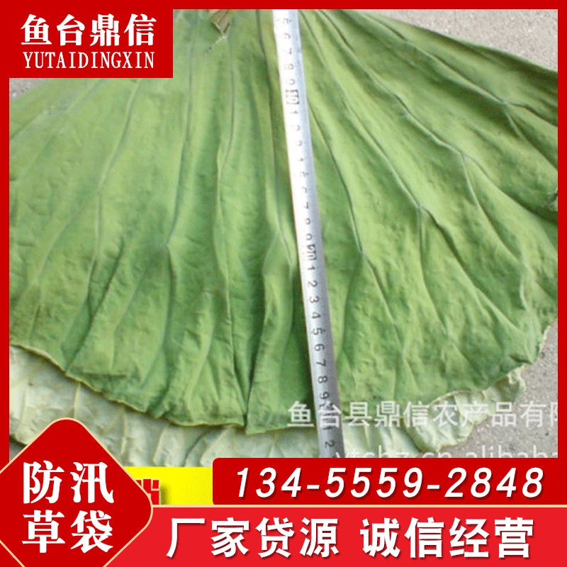 Оптовая продажа листьев лотоса целые листья дикого лотоса на озере Вэйшань