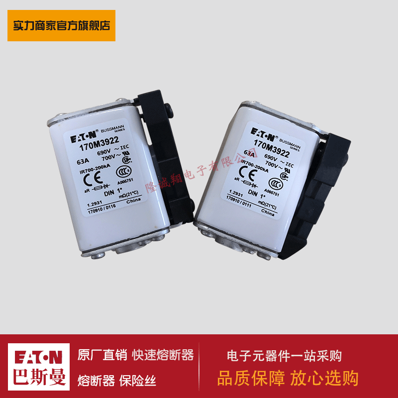 熔断器170M3923 170M3924 170M3925 170M3926 170M3927 170M3928