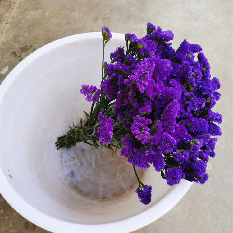 微信图片_20191011080704_副本