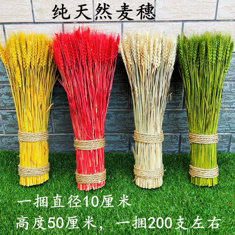 Vegetable model pendant fruit and vegetable window fake vegetable corn chili pepper, garlic decoration farmhouse fake fake