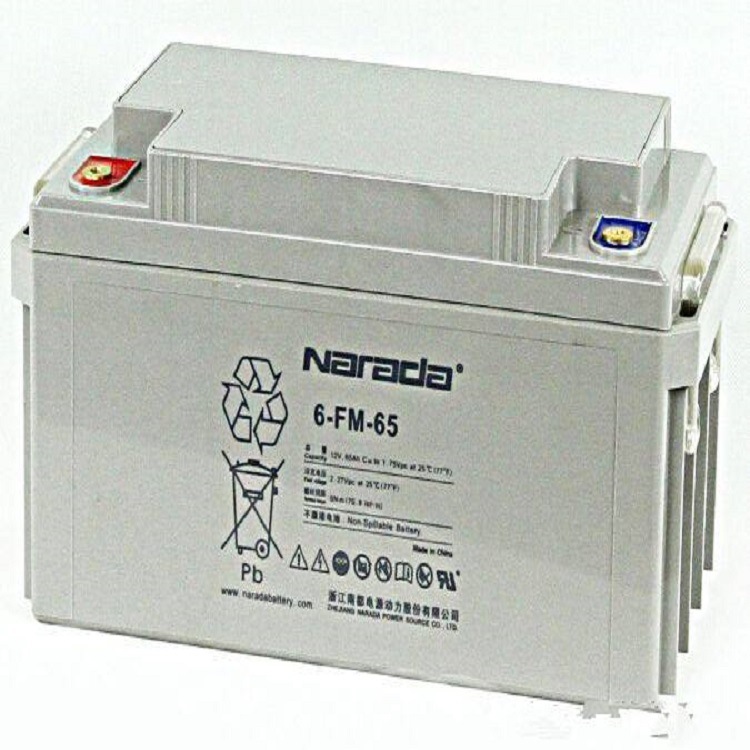 南都蓄电池6-FM-65/浙江南都蓄电池12V6H质保三年