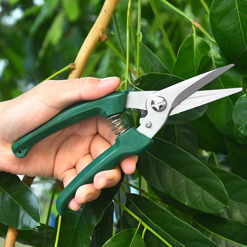 厂家批发不锈钢修枝剪多功能实用树枝果枝摘果剪刀户外园林工具剪