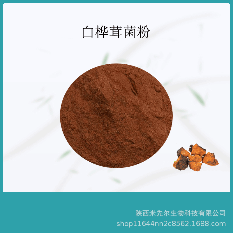 白桦茸菌粉10:1白桦提取物白桦茸多糖原料粉植物提取物