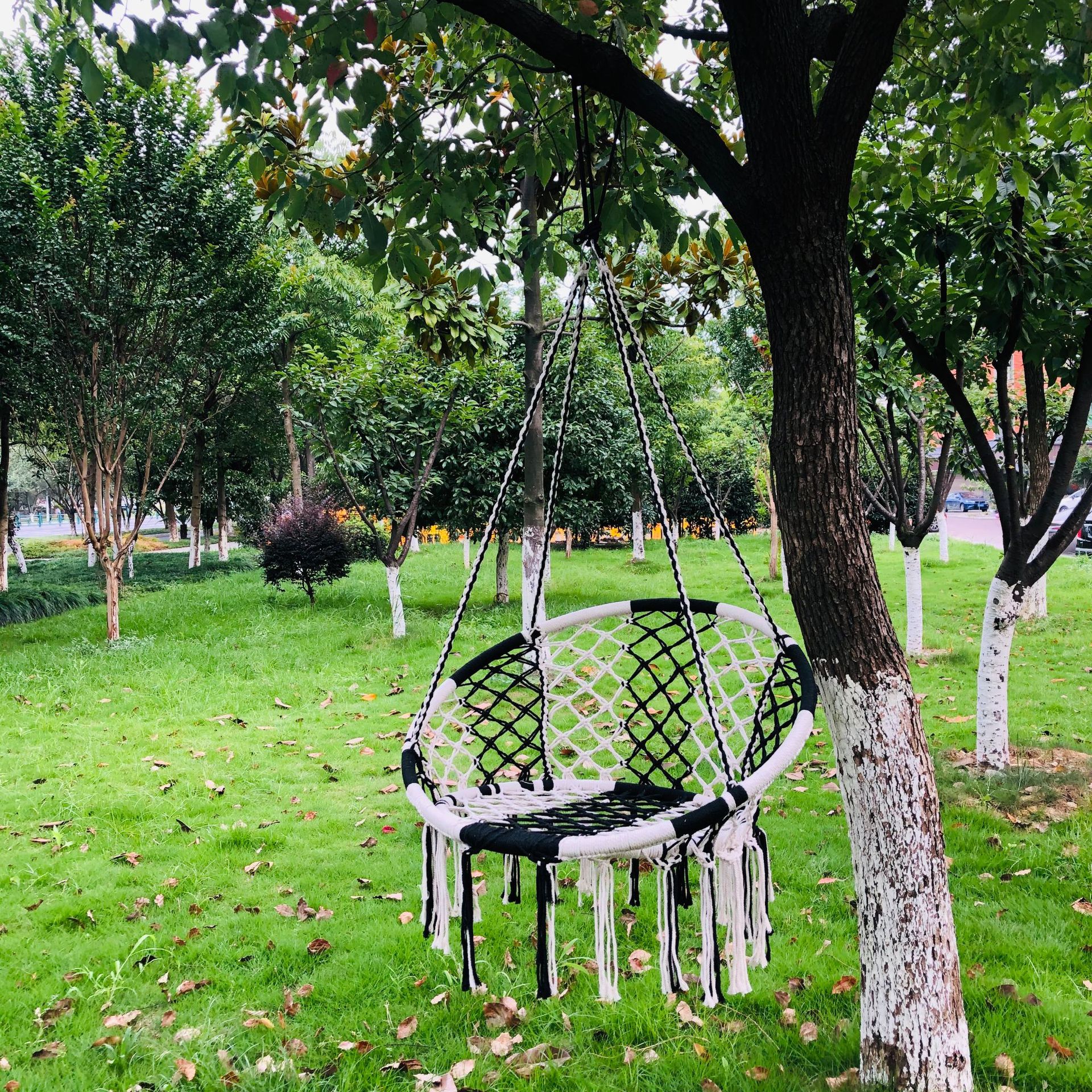 微信图片_20200718202627