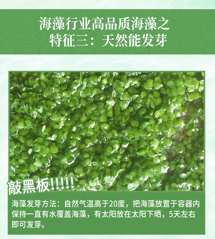 O1CN01Htc2Ar1KKuQnGFNk9_!!2201