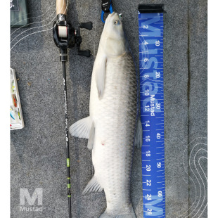 Ľ˹�_�ۯB���~��140cm�����ռ{����·����~���߷�ˮ��ܛ����