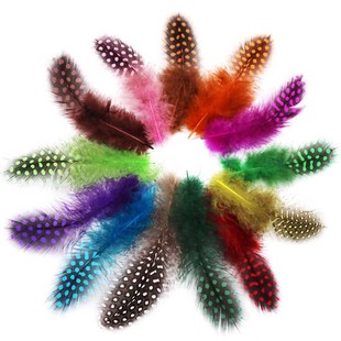 �S�����l�����uë��ɫ������ë���c�^���������ׁ� �ڰ�ɫ