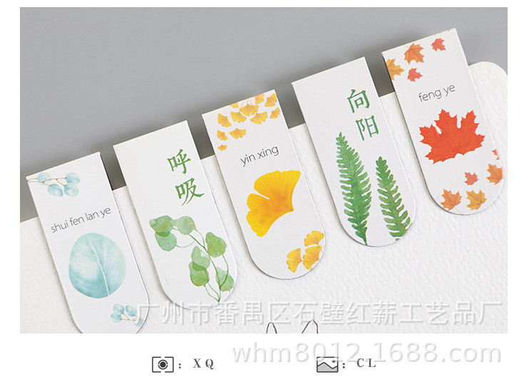 13912643595_764731668