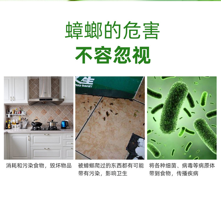 绿叶蟑螂药胶饵剂灭蟑螂家用杀除灭蟑清杀蟑螂药粉剂百货批发详情6