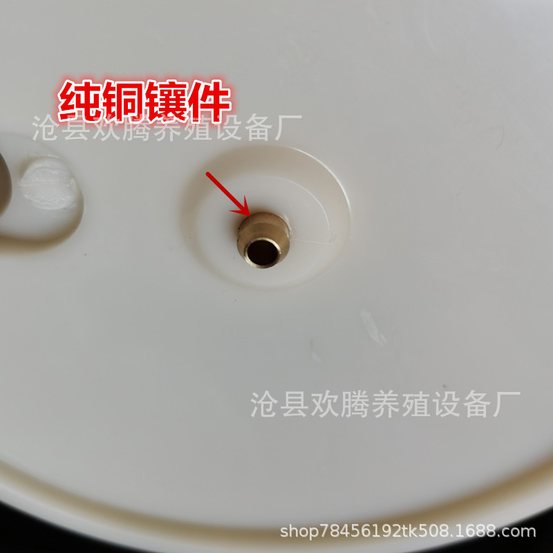 IMG_20200501_085128_副本