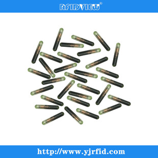 ����ֲ��ʽоƬ �������˺�2.1*12mm��ţ���R��оƬ��ӛ