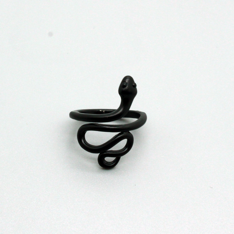 Anillo De Serpiente Esmerilado Lindo Retro Coreano display picture 2